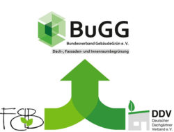 bugg bugg