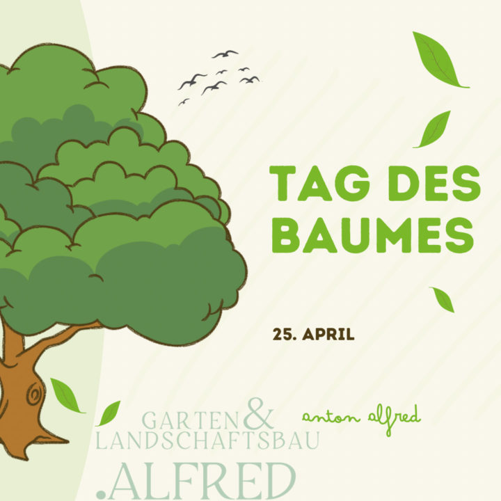 Die Bedeutung von Bäumen für unsere Umwelt und wie wir sie schützen