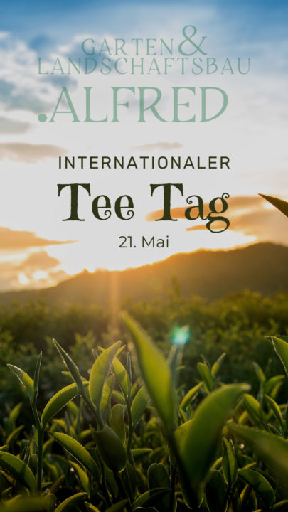 "Tee im Garten eine Oase der Entspannung" Garten & Landschaftsbau