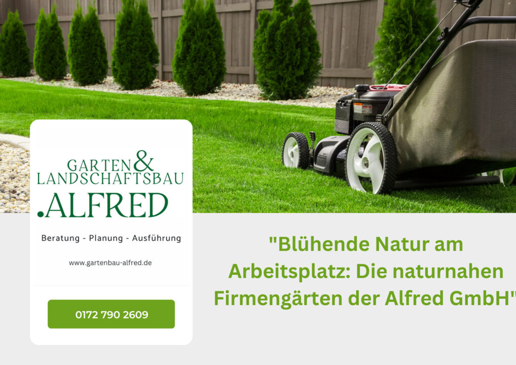 Garten und Landschaftsbau Alfred GmbH Vorreiter in der Gestaltung