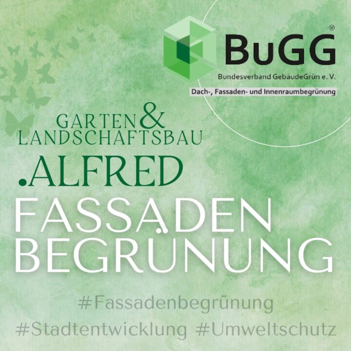 Fassadenbegrünung an Bestandsgebäuden Ein Überblick über