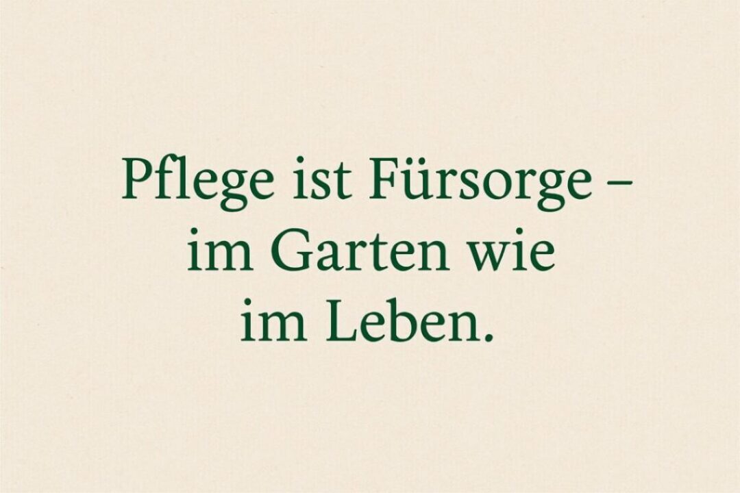 gartenpflege-heckenschnitt-alfred-gmbh-zitat-pflege-ist-fuersorge-1