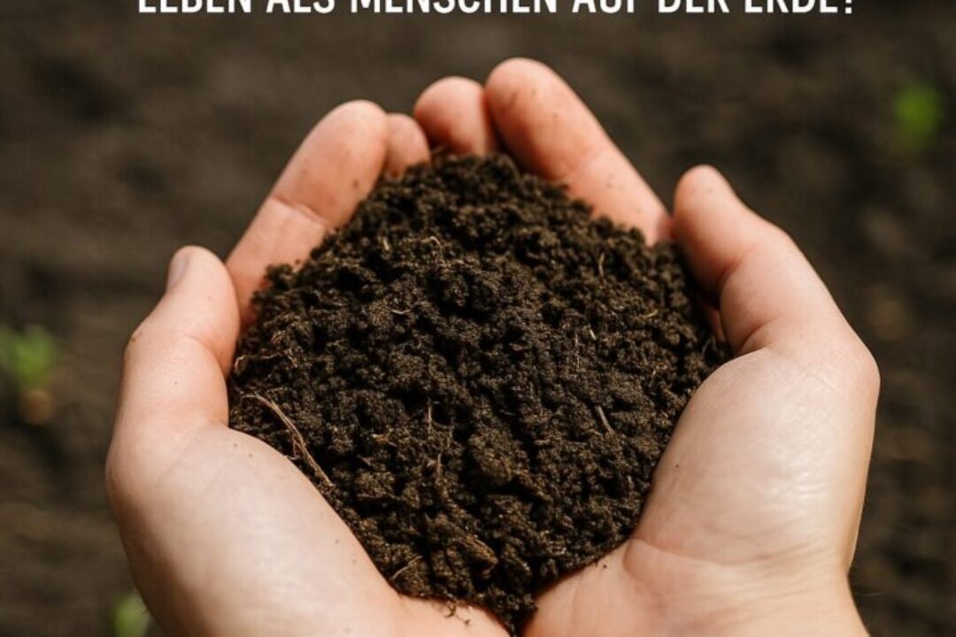 mikroorganismen-im-boden-teelöffel-erde-alfred-gmbh-1