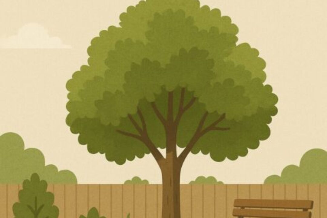 klimabaeume-privatgarten-essen-nrw-1 klimabaeume-privatgarten-essen-nrw-1