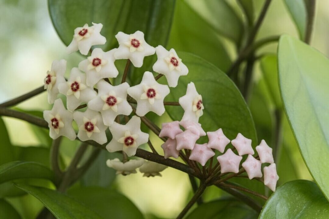 4ebd0e85-c9ed-4683-bb4f-c5dffa3e6824