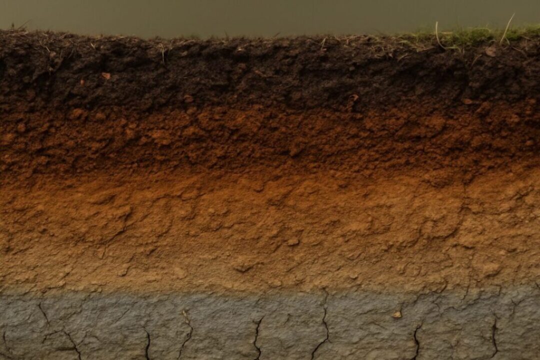 8e1523c3-62e3-44ce-9884-68a597466b2f