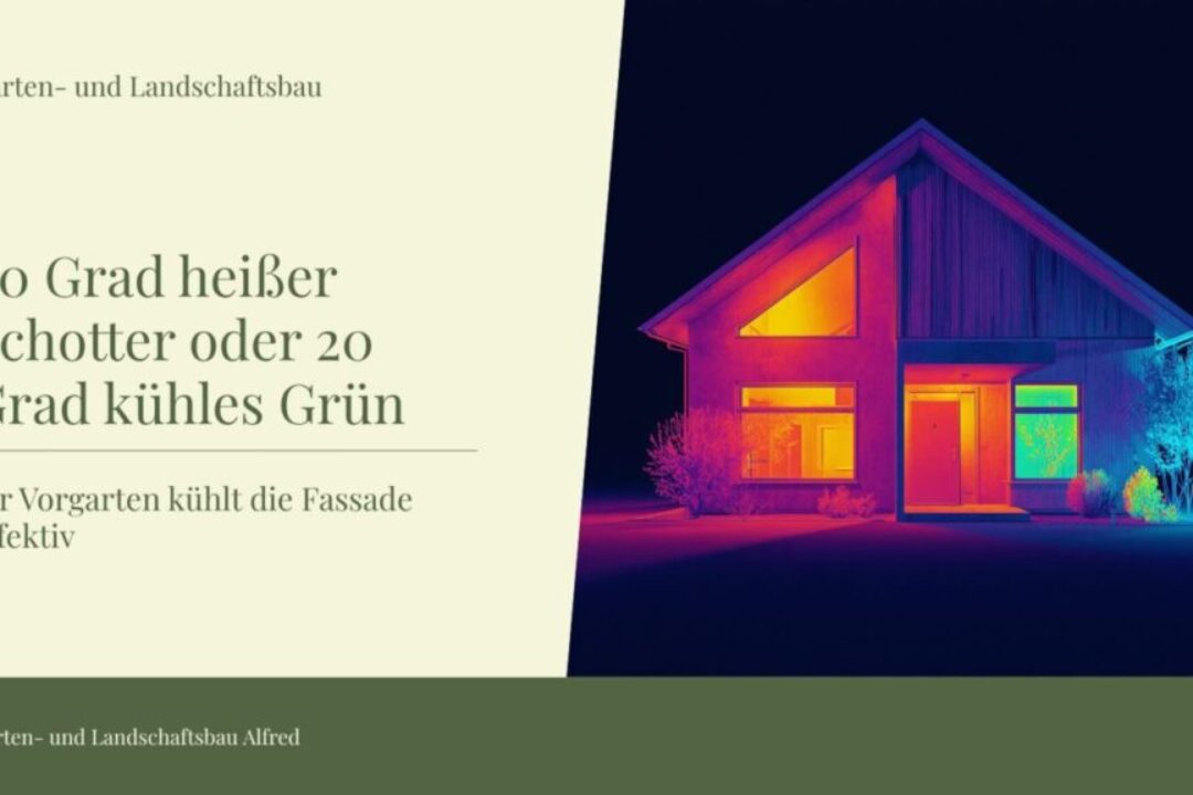 60 grad heißer schotter oder 20 grad kühles grün