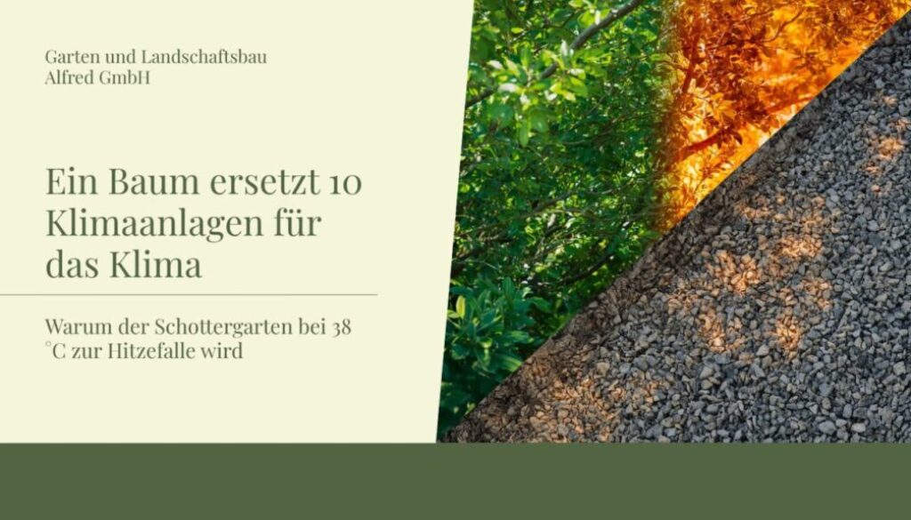 ein baum ersetzt 10 klimaanlagen für das klima