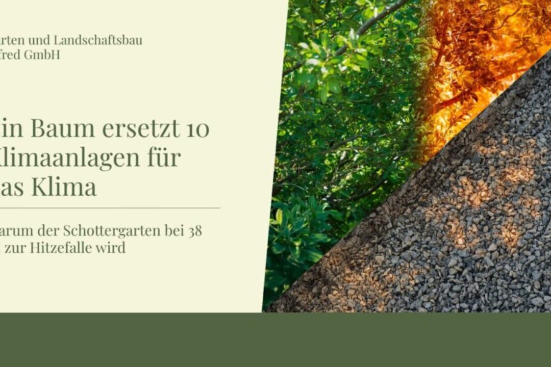 ein baum ersetzt 10 klimaanlagen für das klima